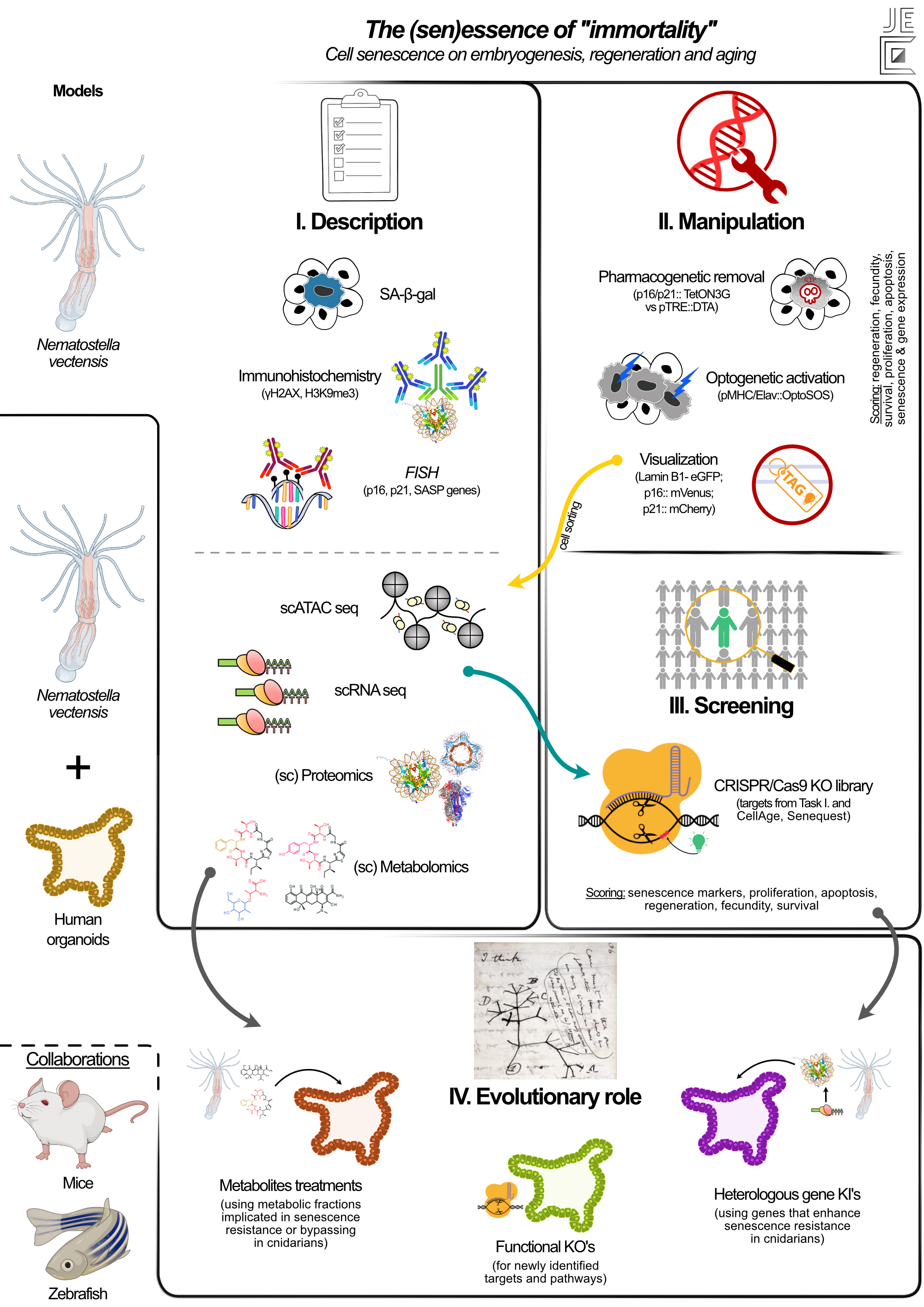 IST-Austria_g-abstract